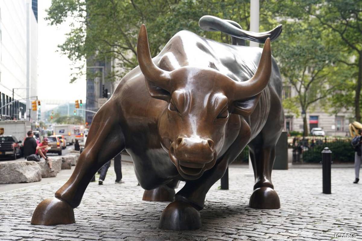 US stock market: Is it a bull, a bear, or a bull in a bear?